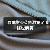 夏季卷心菜货源充足 价格也亲民(图1) 夏季卷心菜货源充足 价格也亲民(图1)
