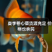 夏季卷心菜货源充足 价格也亲民(图2) 夏季卷心菜货源充足 价格也亲民(图2)