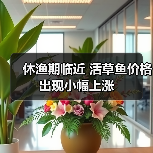 休渔期临近 活草鱼价格出现小幅上涨(图3) 休渔期临近 活草鱼价格出现小幅上涨(图3)
