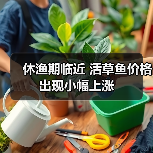 休渔期临近 活草鱼价格出现小幅上涨(图4) 休渔期临近 活草鱼价格出现小幅上涨(图4)