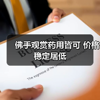 佛手观赏药用皆可 价格稳定居低(图3) 佛手观赏药用皆可 价格稳定居低(图3)