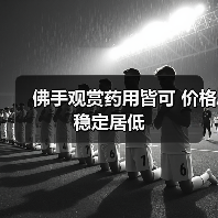 佛手观赏药用皆可 价格稳定居低(图4) 佛手观赏药用皆可 价格稳定居低(图4)