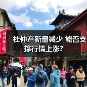 杜仲产新量减少 能否支撑行情上涨?(图4) 杜仲产新量减少 能否支撑行情上涨?(图4)