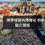 佛手观赏药用皆可 价格稳定居低(图1) 佛手观赏药用皆可 价格稳定居低(图1)