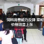 饲料消费能力反弹 菜粕价格明显上涨（图2）