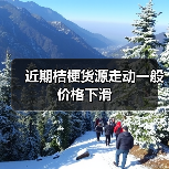 近期桔梗货源走动一般价格下滑(图4) 近期桔梗货源走动一般价格下滑(图4)