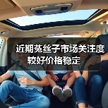 近期菟丝子市场关注度较好价格稳定(图2) 近期菟丝子市场关注度较好价格稳定(图2)