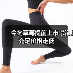 今冬草莓提前上市 货源充足价格走低(图4) 今冬草莓提前上市 货源充足价格走低(图4)