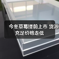 今冬草莓提前上市 货源充足价格走低(图1) 今冬草莓提前上市 货源充足价格走低(图1)