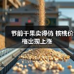 节前干果卖得俏 核桃价格出现上涨(图4) 节前干果卖得俏 核桃价格出现上涨(图4)