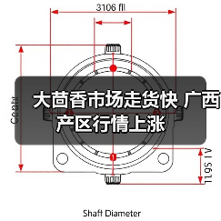 大茴香市场走货快 广西产区行情上涨(图2) 大茴香市场走货快 广西产区行情上涨(图2)