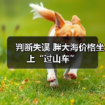 判断失误 胖大海价格坐上“过山车”（图3）
