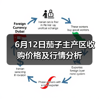 6月12日茄子主产区收购价格及行情分析(图1) 6月12日茄子主产区收购价格及行情分析(图1)