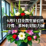 6月11日全国生猪价格行情:多种利好助力猪价...(图4) 6月11日全国生猪价格行情:多种利好助力猪价...(图4)