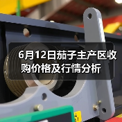 6月12日茄子主产区收购价格及行情分析(图4) 6月12日茄子主产区收购价格及行情分析(图4)