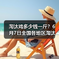 淘汰鸡多少钱一斤？6月7日全国各地区淘汰鸡最...（图3）