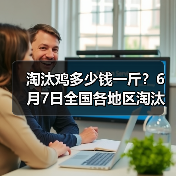 淘汰鸡多少钱一斤？6月7日全国各地区淘汰鸡最...（图4）
