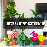 成本线将支撑农药价格(图1) 成本线将支撑农药价格(图1)