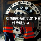 棉粕价格短期稳定 不看好后期走向(图4) 棉粕价格短期稳定 不看好后期走向(图4)