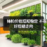棉粕价格短期稳定 不看好后期走向(图3) 棉粕价格短期稳定 不看好后期走向(图3)