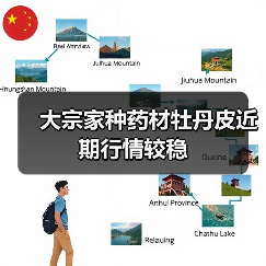大宗家种药材牡丹皮近期行情较稳(图1) 大宗家种药材牡丹皮近期行情较稳(图1)