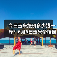 今日玉米报价多少钱一斤?6月6日玉米价格最新...(图4) 今日玉米报价多少钱一斤?6月6日玉米价格最新...(图4)