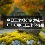 今日玉米报价多少钱一斤?6月6日玉米价格最新...(图2) 今日玉米报价多少钱一斤?6月6日玉米价格最新...(图2)