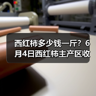 西红柿多少钱一斤?6月4日西红柿主产区收购价...(图1) 西红柿多少钱一斤?6月4日西红柿主产区收购价...(图1)