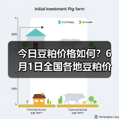 今日豆粕价格如何?6月1日全国各地豆粕价格行...(图2) 今日豆粕价格如何?6月1日全国各地豆粕价格行...(图2)