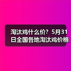 淘汰鸡什么价?5月31日全国各地淘汰鸡价格汇...(图4) 淘汰鸡什么价?5月31日全国各地淘汰鸡价格汇...(图4)