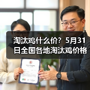 淘汰鸡什么价?5月31日全国各地淘汰鸡价格汇...(图3) 淘汰鸡什么价?5月31日全国各地淘汰鸡价格汇...(图3)
