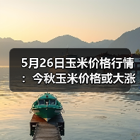 5月26日玉米价格行情:今秋玉米价格或大涨!(图2) 5月26日玉米价格行情:今秋玉米价格或大涨!(图2)