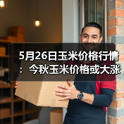 5月26日玉米价格行情:今秋玉米价格或大涨!(图3) 5月26日玉米价格行情:今秋玉米价格或大涨!(图3)
