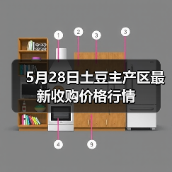 5月28日土豆主产区最新收购价格行情(图2) 5月28日土豆主产区最新收购价格行情(图2)