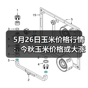 5月26日玉米价格行情:今秋玉米价格或大涨!(图4) 5月26日玉米价格行情:今秋玉米价格或大涨!(图4)