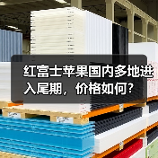红富士苹果国内多地进入尾期,价格如何?(图2) 红富士苹果国内多地进入尾期,价格如何?(图2)