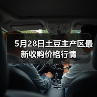 5月28日土豆主产区最新收购价格行情(图3) 5月28日土豆主产区最新收购价格行情(图3)