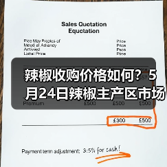 辣椒收购价格如何?5月24日辣椒主产区市场收...(图2) 辣椒收购价格如何?5月24日辣椒主产区市场收...(图2)