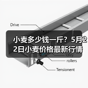 小麦多少钱一斤?5月22日小麦价格最新行情(图2) 小麦多少钱一斤?5月22日小麦价格最新行情(图2)