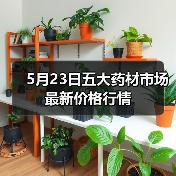 5月23日五大药材市场最新价格行情(图2) 5月23日五大药材市场最新价格行情(图2)