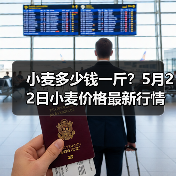 小麦多少钱一斤?5月22日小麦价格最新行情(图3) 小麦多少钱一斤?5月22日小麦价格最新行情(图3)