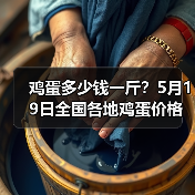 鸡蛋多少钱一斤?5月19日全国各地鸡蛋价格行...(图3) 鸡蛋多少钱一斤?5月19日全国各地鸡蛋价格行...(图3)