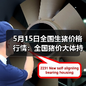5月15日全国生猪价格行情:全国猪价大体持稳(图1) 5月15日全国生猪价格行情:全国猪价大体持稳(图1)