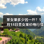 圣女果多少钱一斤?5月18日圣女果价格行情(...(图3) 圣女果多少钱一斤?5月18日圣女果价格行情(...(图3)
