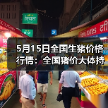5月15日全国生猪价格行情:全国猪价大体持稳(图3) 5月15日全国生猪价格行情:全国猪价大体持稳(图3)
