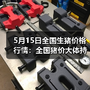 5月15日全国生猪价格行情:全国猪价大体持稳(图2) 5月15日全国生猪价格行情:全国猪价大体持稳(图2)