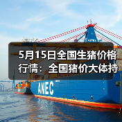 5月15日全国生猪价格行情:全国猪价大体持稳(图4) 5月15日全国生猪价格行情:全国猪价大体持稳(图4)