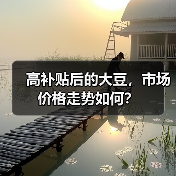 高补贴后的大豆,市场价格走势如何?(图4) 高补贴后的大豆,市场价格走势如何?(图4)