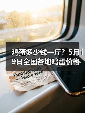 鸡蛋多少钱一斤?5月19日全国各地鸡蛋价格行...(图4) 鸡蛋多少钱一斤?5月19日全国各地鸡蛋价格行...(图4)