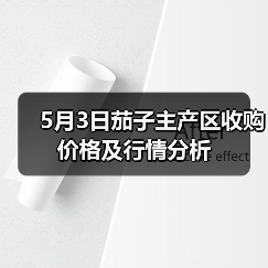 5月3日茄子主产区收购价格及行情分析(图4) 5月3日茄子主产区收购价格及行情分析(图4)